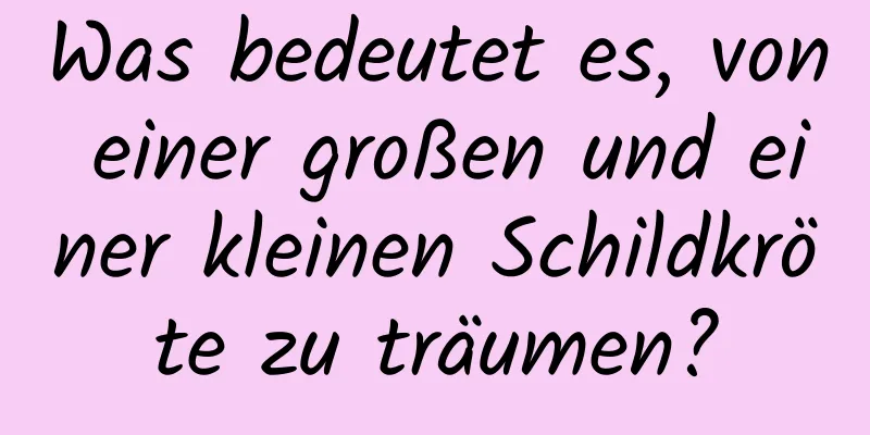 Was bedeutet es, von einer großen und einer kleinen Schildkröte zu träumen?