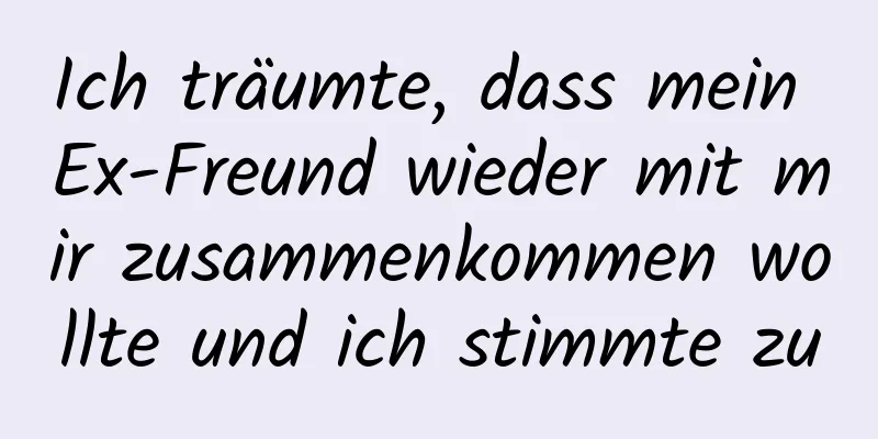 Ich träumte, dass mein Ex-Freund wieder mit mir zusammenkommen wollte und ich stimmte zu