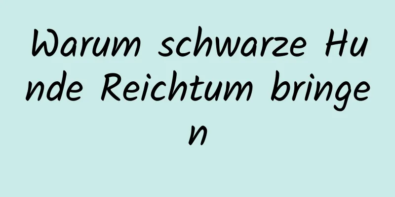 Warum schwarze Hunde Reichtum bringen