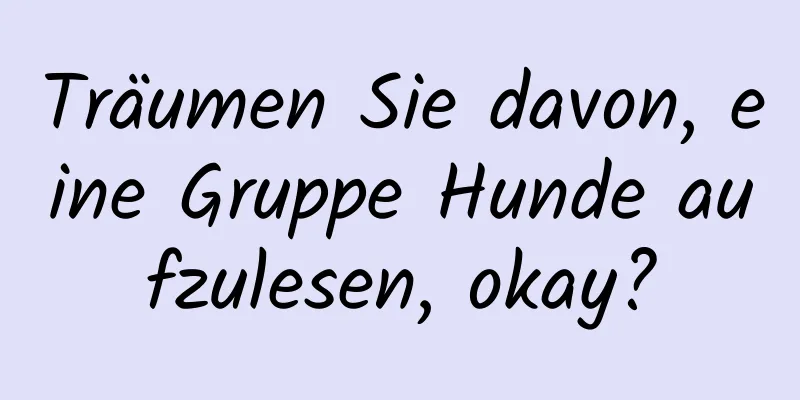 Träumen Sie davon, eine Gruppe Hunde aufzulesen, okay?