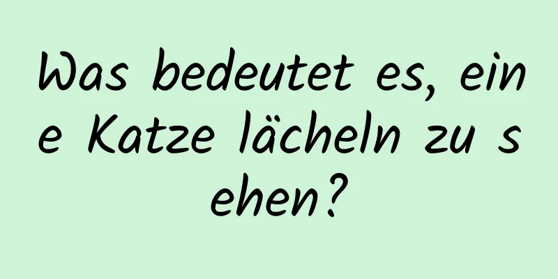 Was bedeutet es, eine Katze lächeln zu sehen?