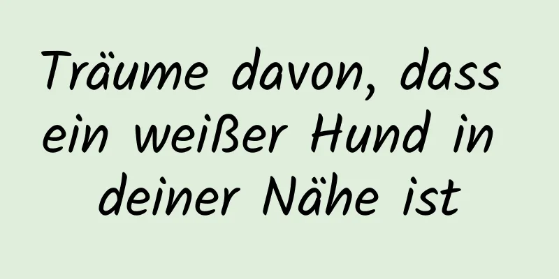Träume davon, dass ein weißer Hund in deiner Nähe ist