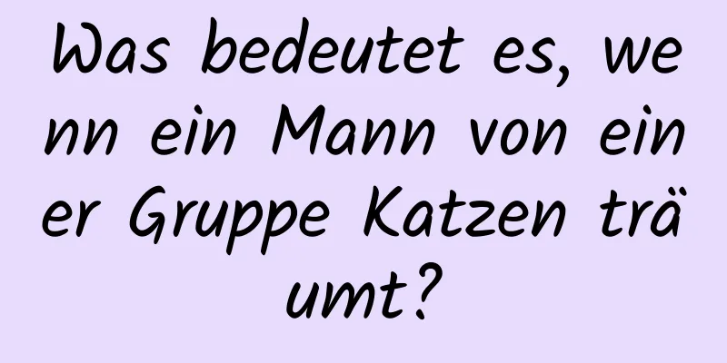 Was bedeutet es, wenn ein Mann von einer Gruppe Katzen träumt?