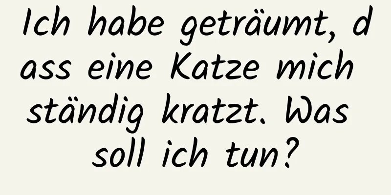 Ich habe geträumt, dass eine Katze mich ständig kratzt. Was soll ich tun?