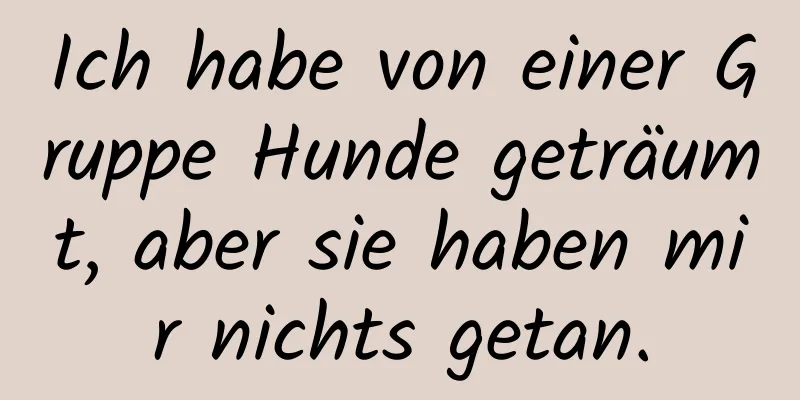 Ich habe von einer Gruppe Hunde geträumt, aber sie haben mir nichts getan.