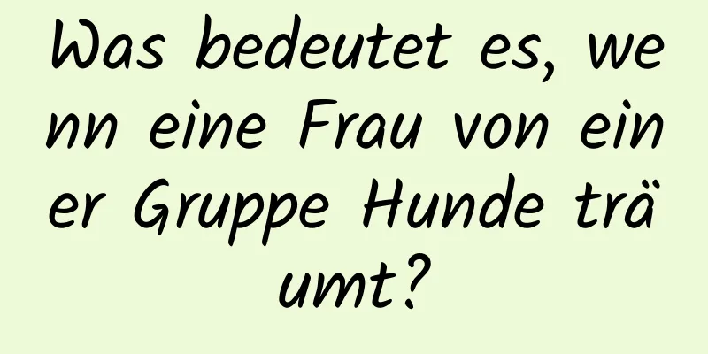 Was bedeutet es, wenn eine Frau von einer Gruppe Hunde träumt?
