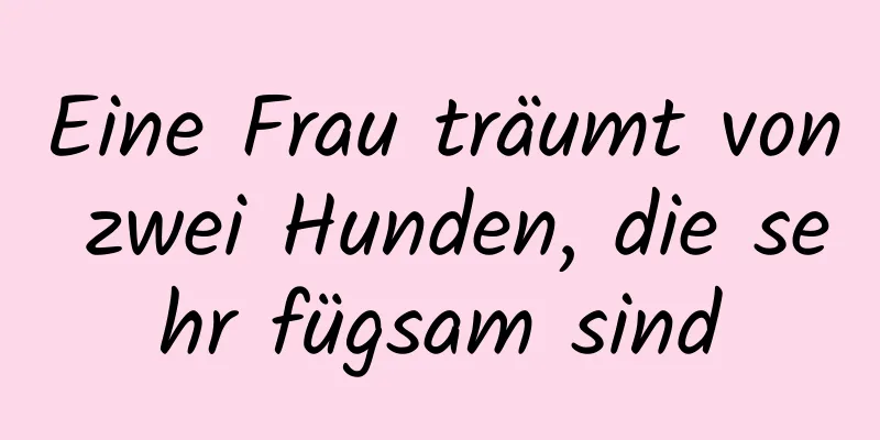 Eine Frau träumt von zwei Hunden, die sehr fügsam sind