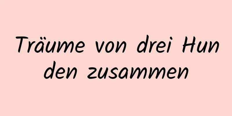 Träume von drei Hunden zusammen
