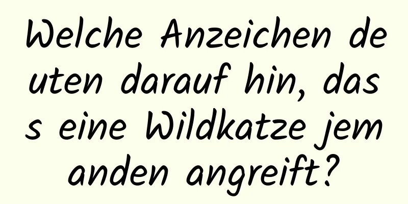 Welche Anzeichen deuten darauf hin, dass eine Wildkatze jemanden angreift?