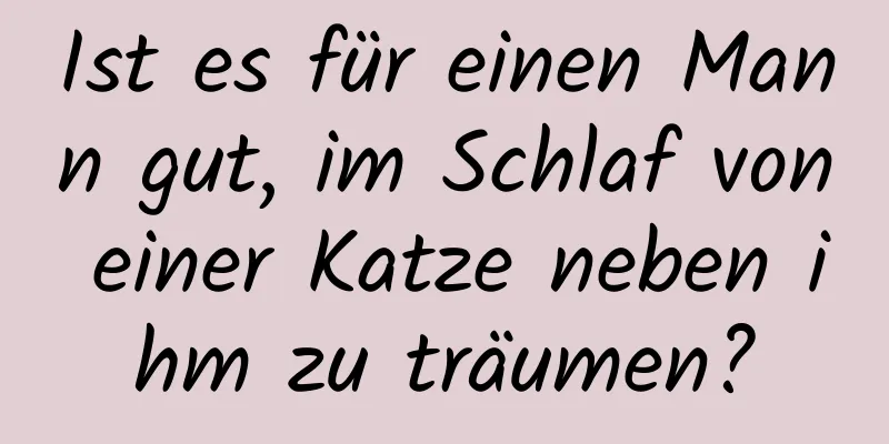 Ist es für einen Mann gut, im Schlaf von einer Katze neben ihm zu träumen?