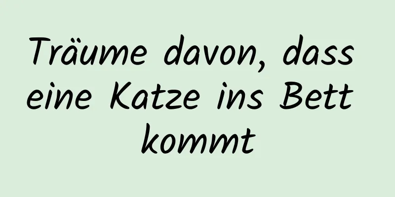 Träume davon, dass eine Katze ins Bett kommt
