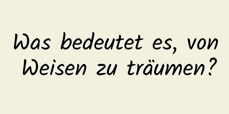 Was bedeutet es, von Weisen zu träumen?