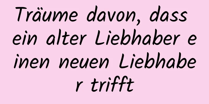 Träume davon, dass ein alter Liebhaber einen neuen Liebhaber trifft
