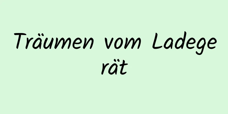 Träumen vom Ladegerät