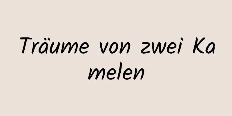 Träume von zwei Kamelen