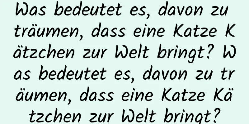 Was bedeutet es, davon zu träumen, dass eine Katze Kätzchen zur Welt bringt? Was bedeutet es, davon zu träumen, dass eine Katze Kätzchen zur Welt bringt?
