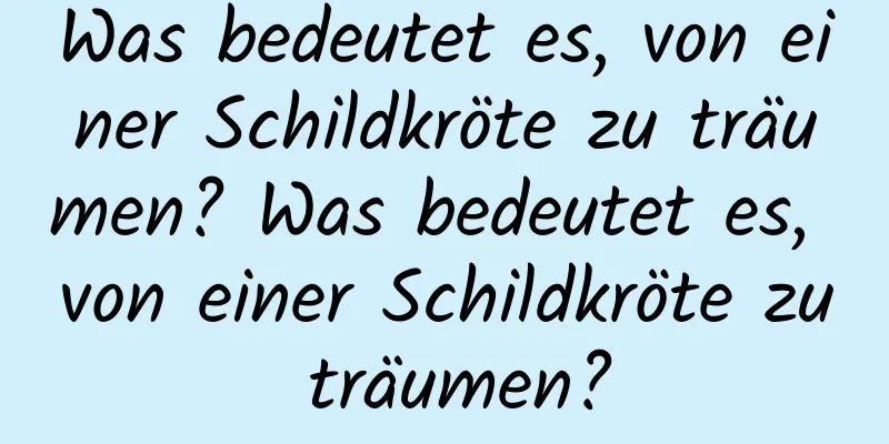 Was bedeutet es, von einer Schildkröte zu träumen? Was bedeutet es, von einer Schildkröte zu träumen?