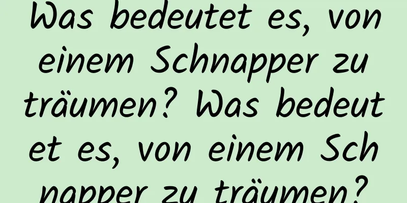 Was bedeutet es, von einem Schnapper zu träumen? Was bedeutet es, von einem Schnapper zu träumen?