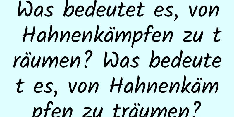 Was bedeutet es, von Hahnenkämpfen zu träumen? Was bedeutet es, von Hahnenkämpfen zu träumen?