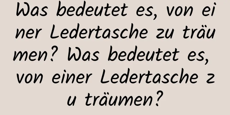 Was bedeutet es, von einer Ledertasche zu träumen? Was bedeutet es, von einer Ledertasche zu träumen?