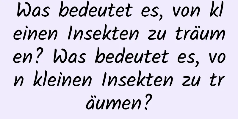 Was bedeutet es, von kleinen Insekten zu träumen? Was bedeutet es, von kleinen Insekten zu träumen?