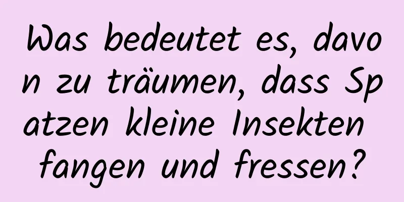 Was bedeutet es, davon zu träumen, dass Spatzen kleine Insekten fangen und fressen?