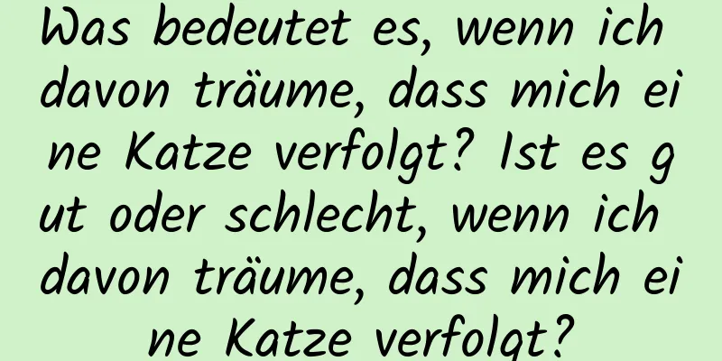 Was bedeutet es, wenn ich davon träume, dass mich eine Katze verfolgt? Ist es gut oder schlecht, wenn ich davon träume, dass mich eine Katze verfolgt?