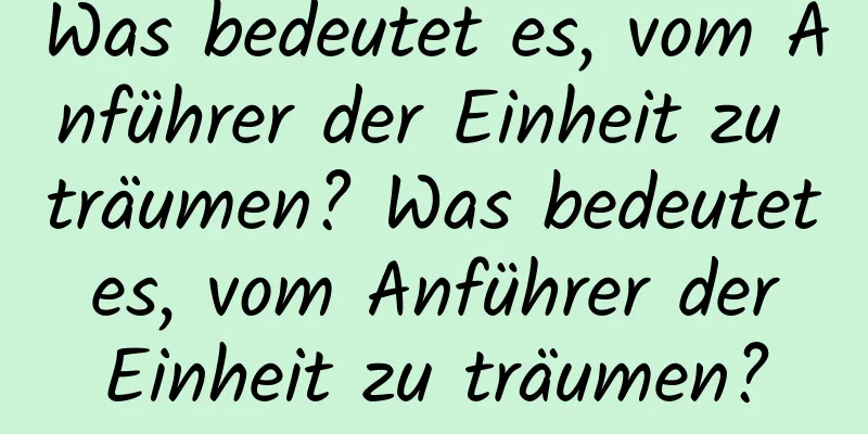 Was bedeutet es, vom Anführer der Einheit zu träumen? Was bedeutet es, vom Anführer der Einheit zu träumen?