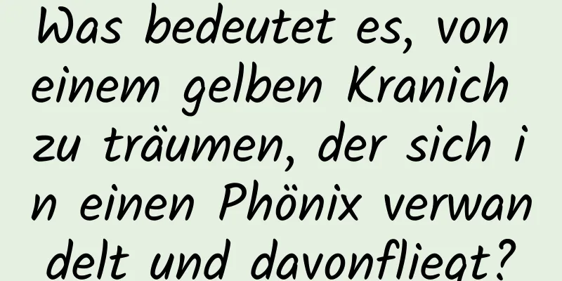 Was bedeutet es, von einem gelben Kranich zu träumen, der sich in einen Phönix verwandelt und davonfliegt?