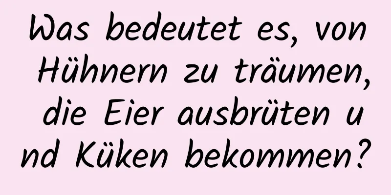 Was bedeutet es, von Hühnern zu träumen, die Eier ausbrüten und Küken bekommen?
