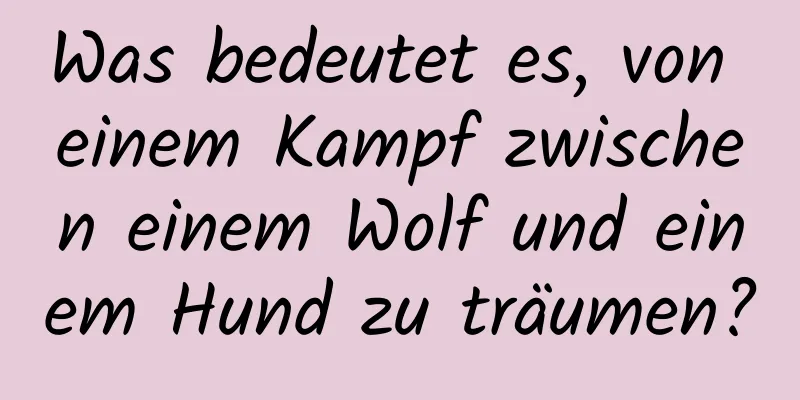 Was bedeutet es, von einem Kampf zwischen einem Wolf und einem Hund zu träumen?