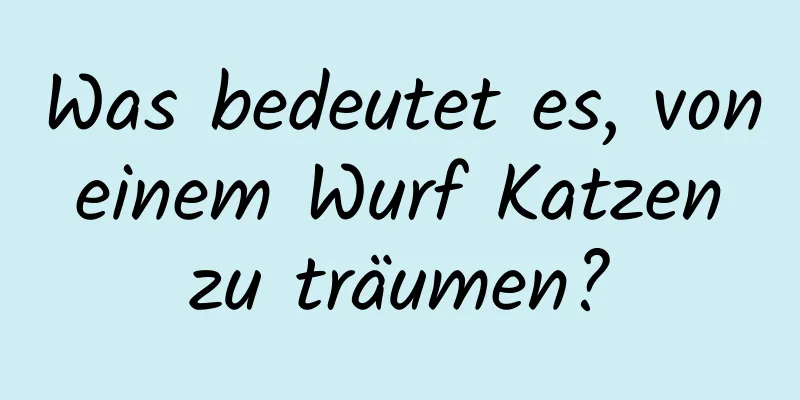 Was bedeutet es, von einem Wurf Katzen zu träumen?