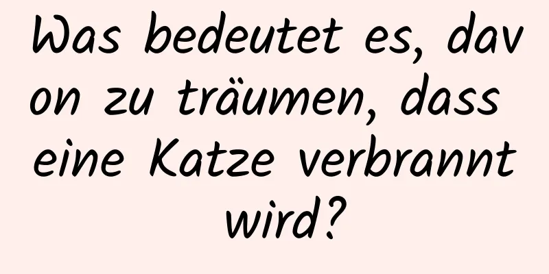 Was bedeutet es, davon zu träumen, dass eine Katze verbrannt wird?