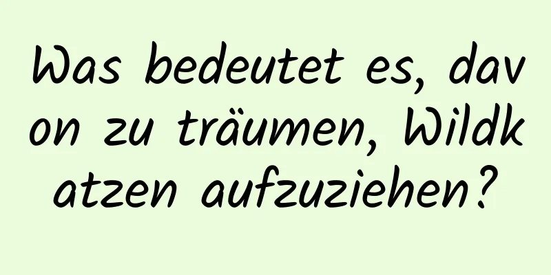 Was bedeutet es, davon zu träumen, Wildkatzen aufzuziehen?