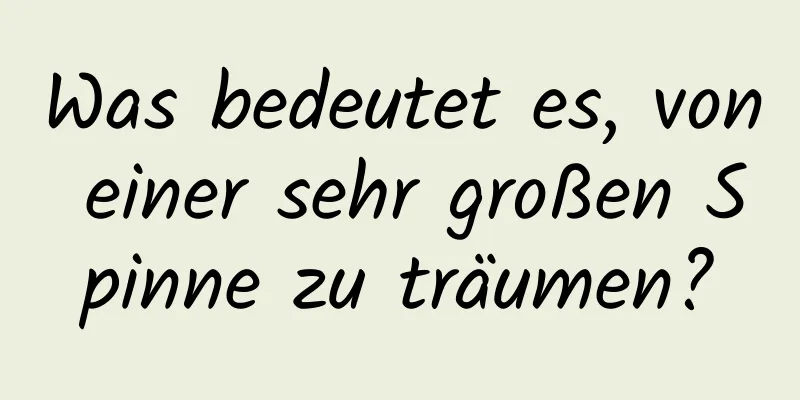 Was bedeutet es, von einer sehr großen Spinne zu träumen?