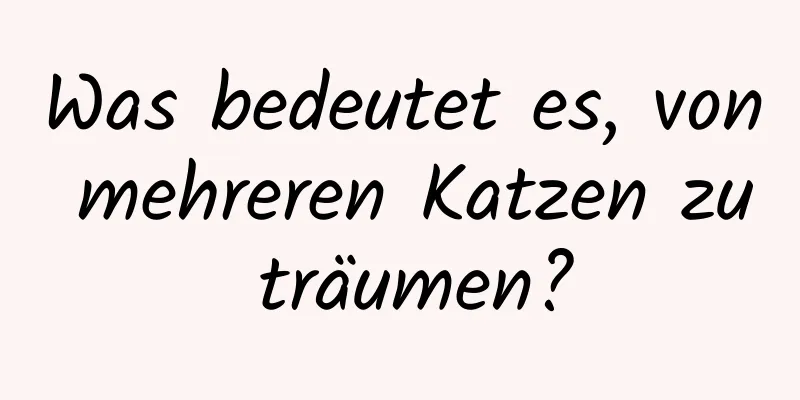 Was bedeutet es, von mehreren Katzen zu träumen?