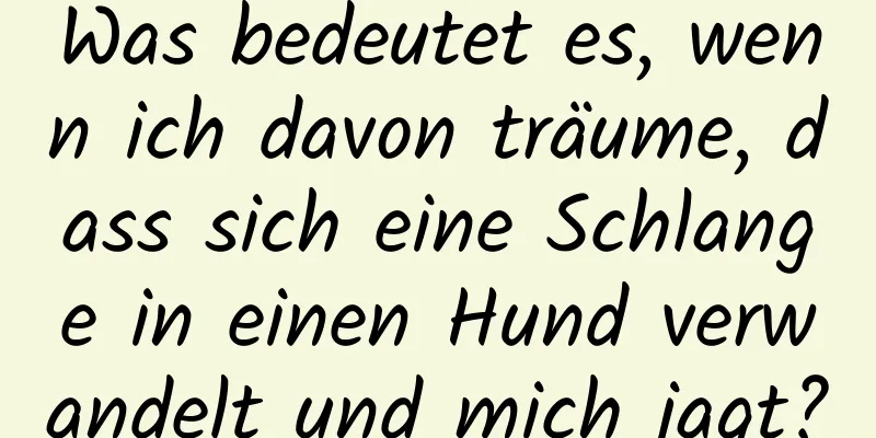 Was bedeutet es, wenn ich davon träume, dass sich eine Schlange in einen Hund verwandelt und mich jagt?