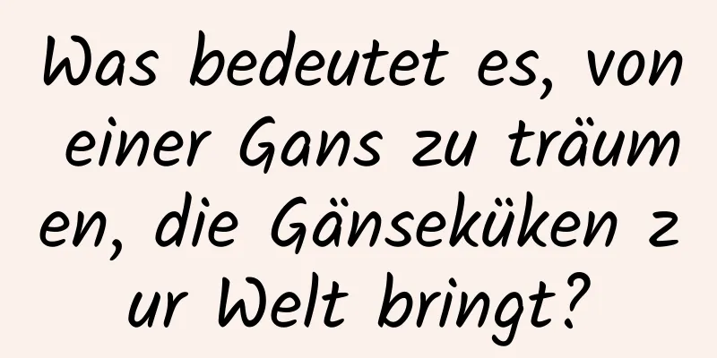 Was bedeutet es, von einer Gans zu träumen, die Gänseküken zur Welt bringt?