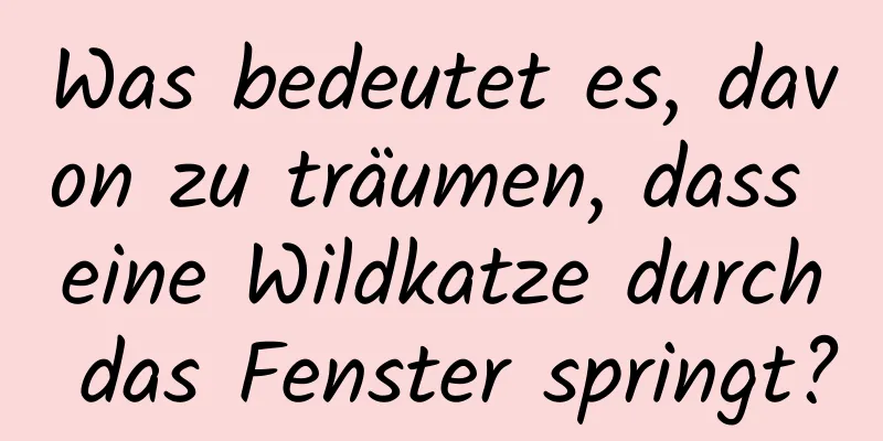 Was bedeutet es, davon zu träumen, dass eine Wildkatze durch das Fenster springt?