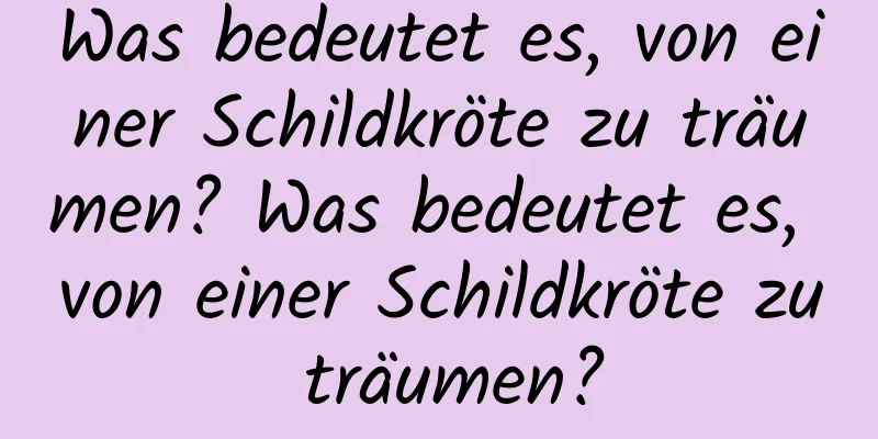 Was bedeutet es, von einer Schildkröte zu träumen? Was bedeutet es, von einer Schildkröte zu träumen?