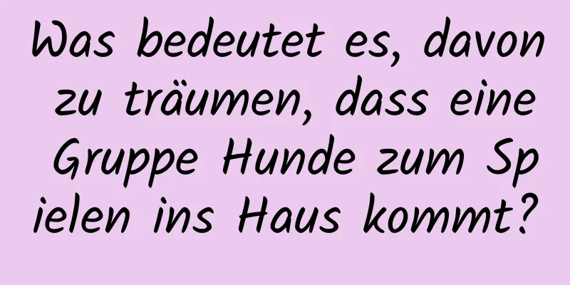 Was bedeutet es, davon zu träumen, dass eine Gruppe Hunde zum Spielen ins Haus kommt?