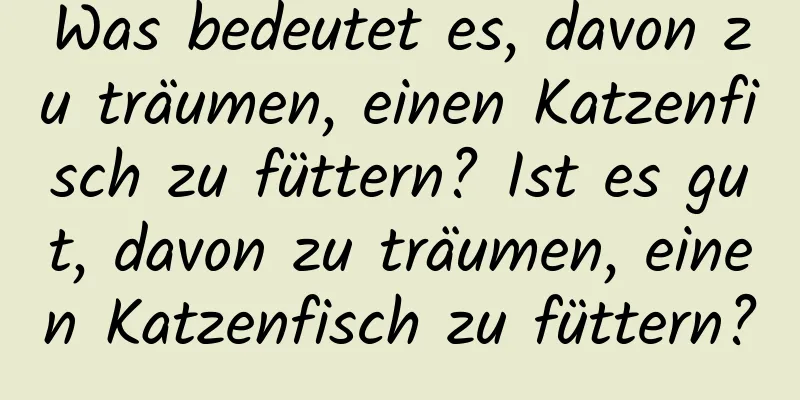 Was bedeutet es, davon zu träumen, einen Katzenfisch zu füttern? Ist es gut, davon zu träumen, einen Katzenfisch zu füttern?