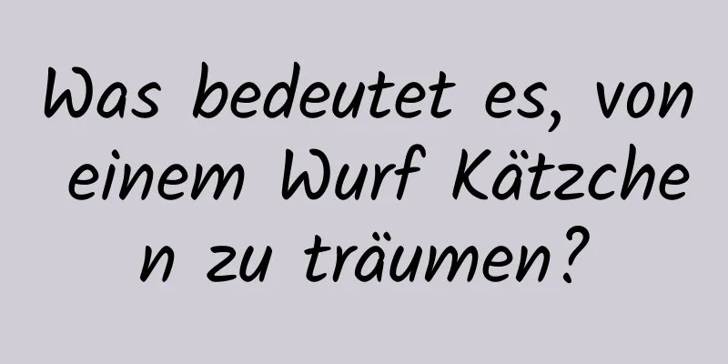 Was bedeutet es, von einem Wurf Kätzchen zu träumen?