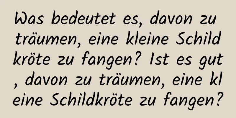 Was bedeutet es, davon zu träumen, eine kleine Schildkröte zu fangen? Ist es gut, davon zu träumen, eine kleine Schildkröte zu fangen?