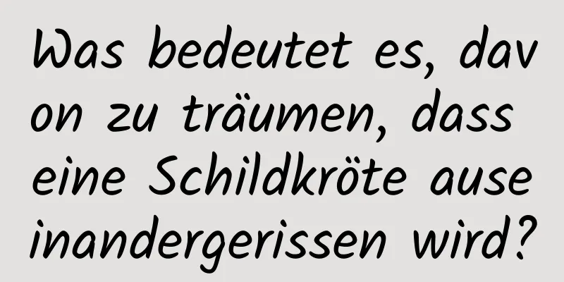 Was bedeutet es, davon zu träumen, dass eine Schildkröte auseinandergerissen wird?