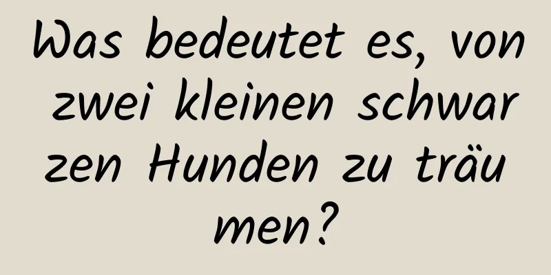 Was bedeutet es, von zwei kleinen schwarzen Hunden zu träumen?