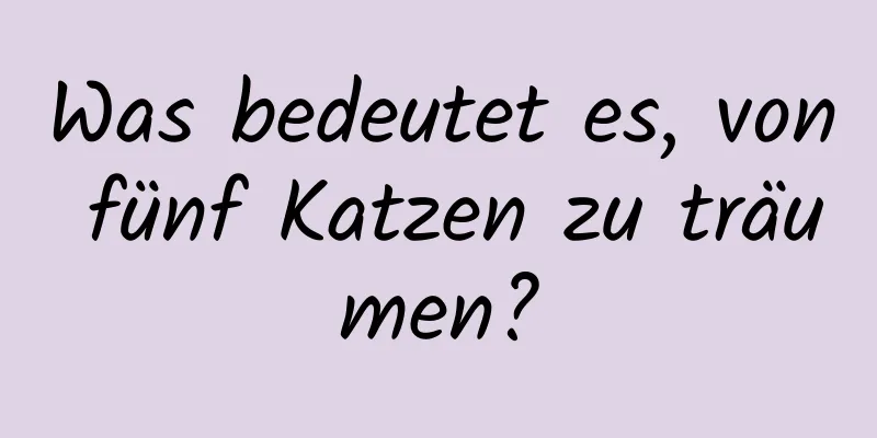 Was bedeutet es, von fünf Katzen zu träumen?