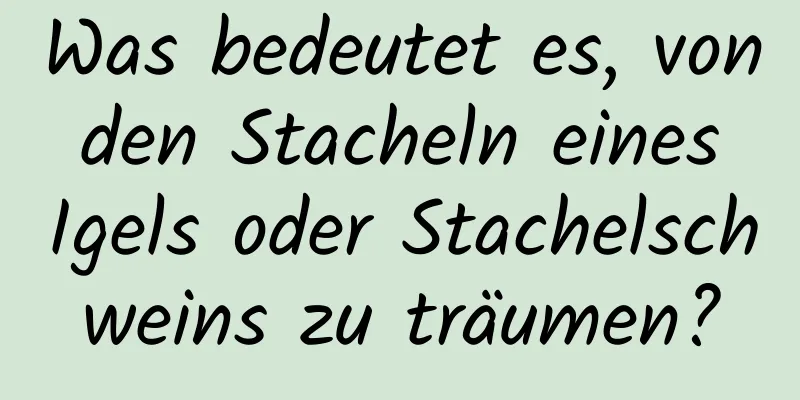 Was bedeutet es, von den Stacheln eines Igels oder Stachelschweins zu träumen?