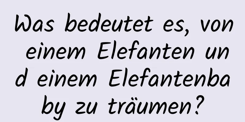 Was bedeutet es, von einem Elefanten und einem Elefantenbaby zu träumen?