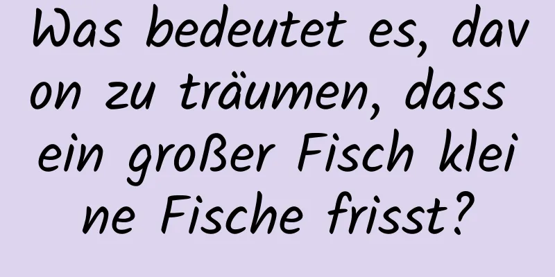Was bedeutet es, davon zu träumen, dass ein großer Fisch kleine Fische frisst?